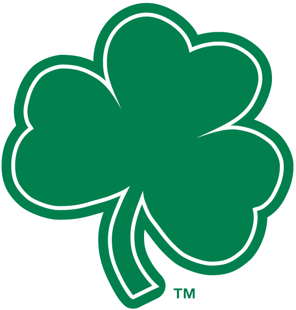 Notre Dame Fighting Irish 1994-Pres Alternate Logo t shirts iron on transfers v7